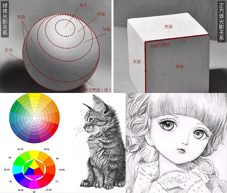 开云电竞kaiyuncom